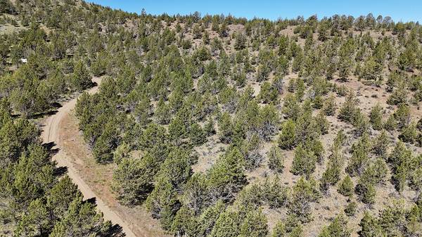 Osprey RD, Prineville, OR 97754