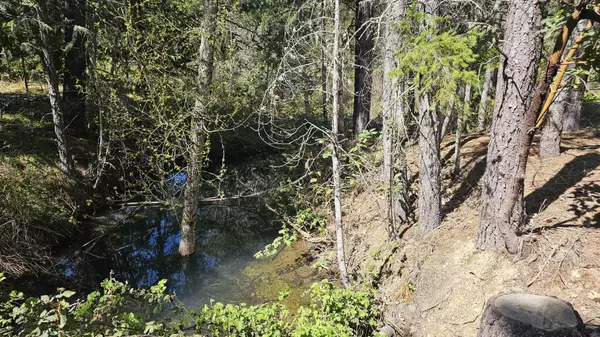 Selma, OR 97538,3101 Lake Shore DR