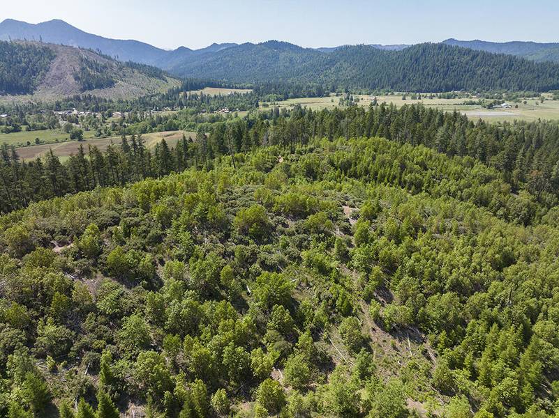 0 Deer Creek Road (TL802), Selma, OR 97538