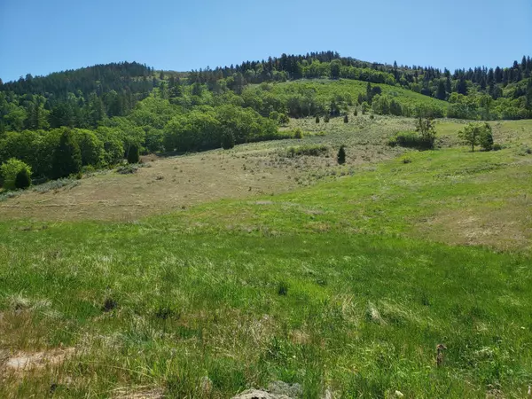 Ashland, OR 97520,0 Cove RD #Parcel 5