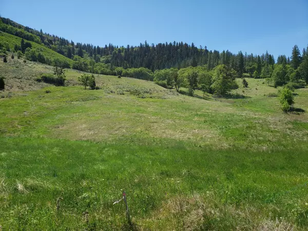 Ashland, OR 97520,0 Cove RD #Parcel 5