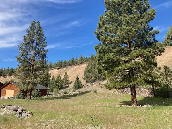 Canyon City, OR 97820,2709 ELKVIEW