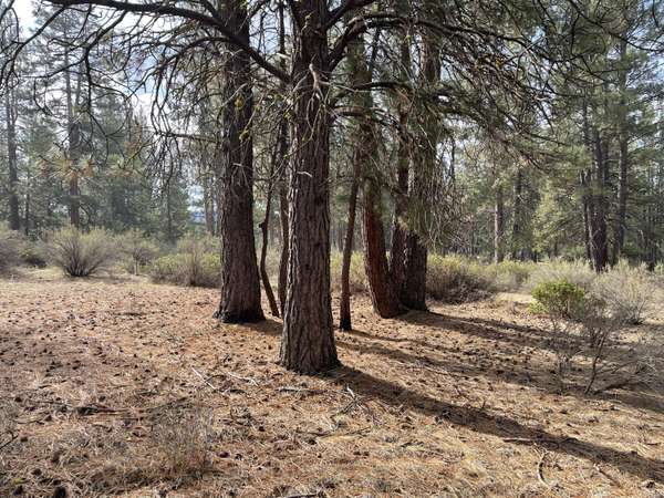 S. Waterview WAY #Lot 6, Chiloquin, OR 97624