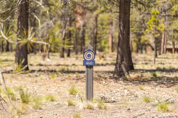 Preservation LOOP #460, Bend, OR 97707