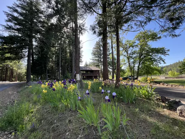 Prospect, OR 97536,1400 Mill Creek DR