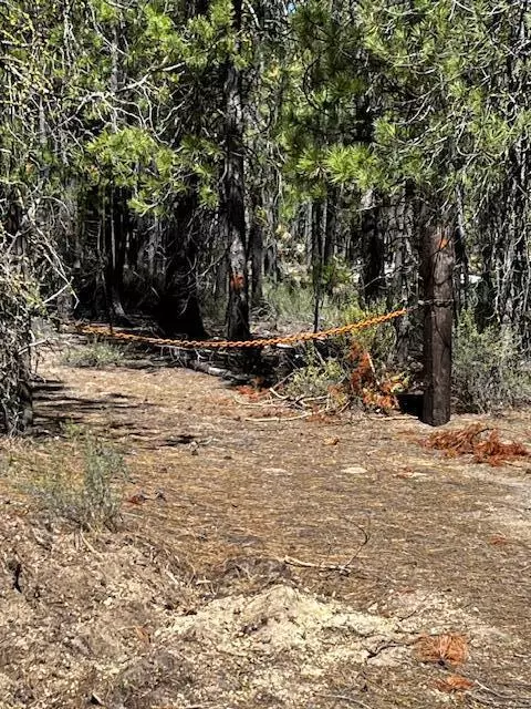 Crescent, OR 97733,TL 2508 Schoonover 12