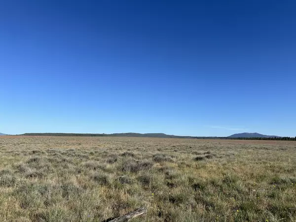 Sprague River, OR 97639,NKA Rim DR