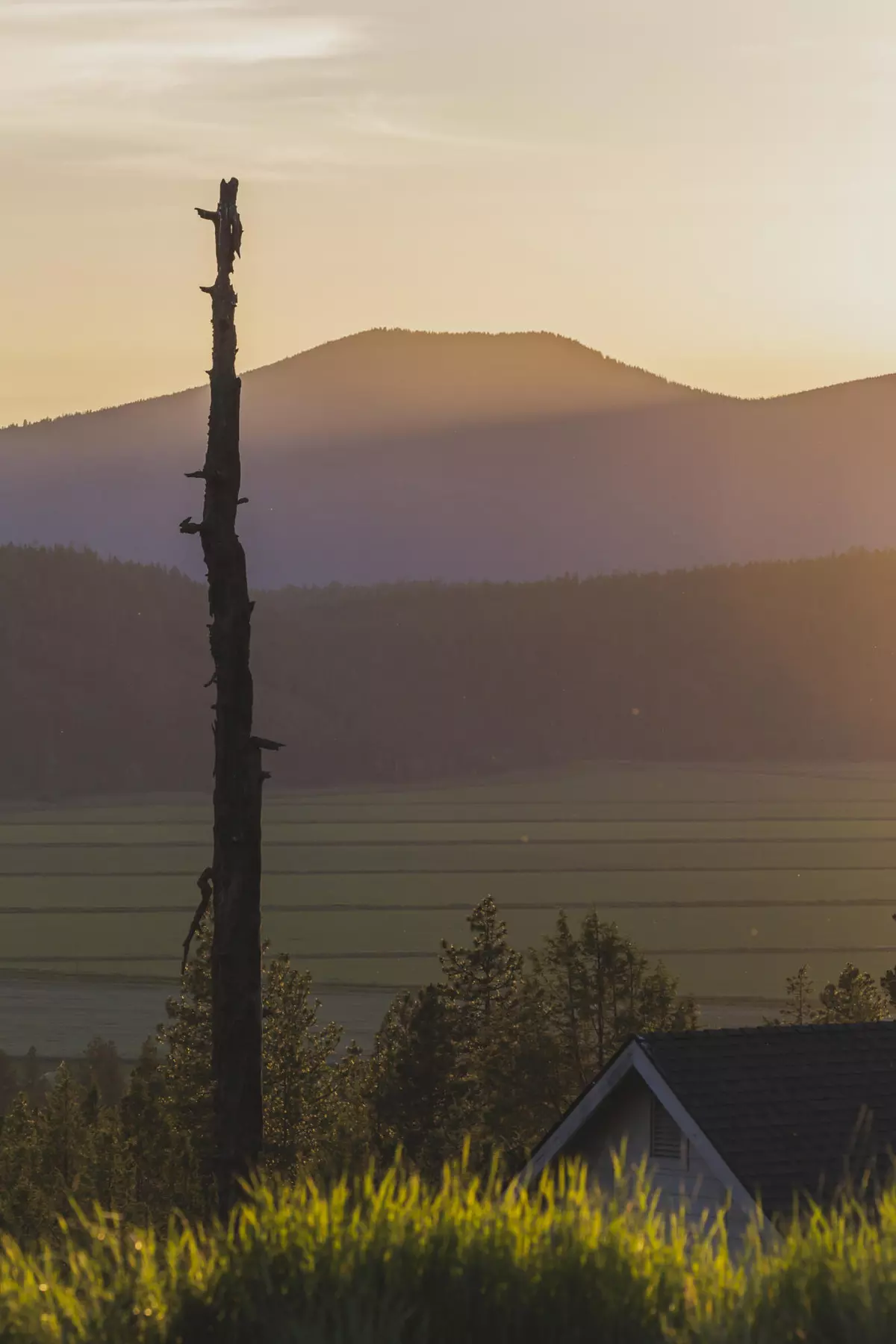 Klamath Falls, OR 97601,1064 Timber Mountain LN