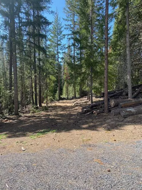 Crescent Lake, OR 97733,Lot 9 Diamond Peaks DR