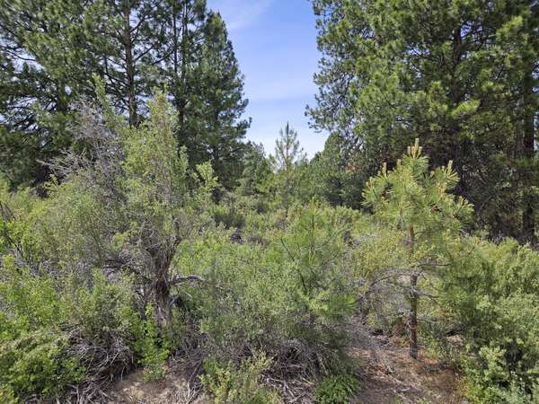 00 Pine Ridge LOOP #Lot 7, Chiloquin, OR 97624