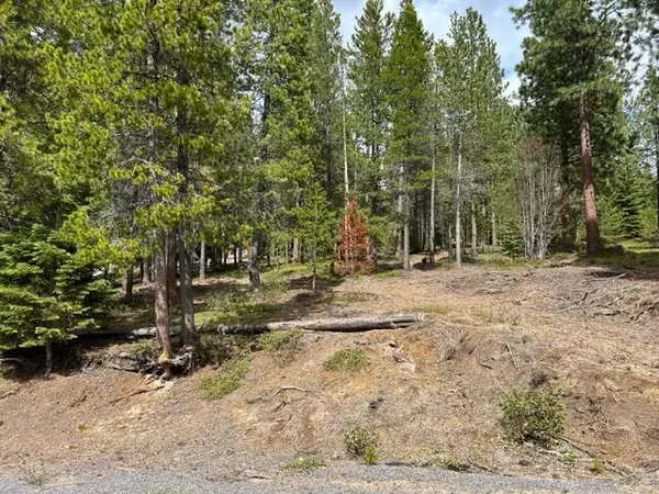 Crescent Lake, OR 97733,43 Clear Spring WAY #43