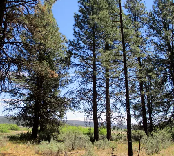 Chiloquin, OR 97624,NKA Block 1 Lot 3 Loafers LN