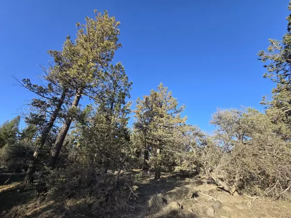 0 Night Owl DR #26, Bonanza, OR 97623