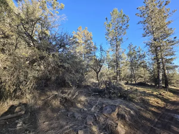 Bonanza, OR 97623,Night Owl DR #26