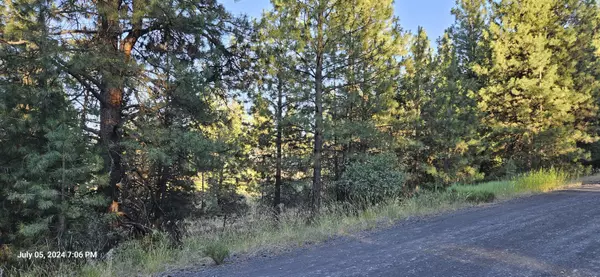 Keno, OR 97627,Lot 20 Misty Mountain DR