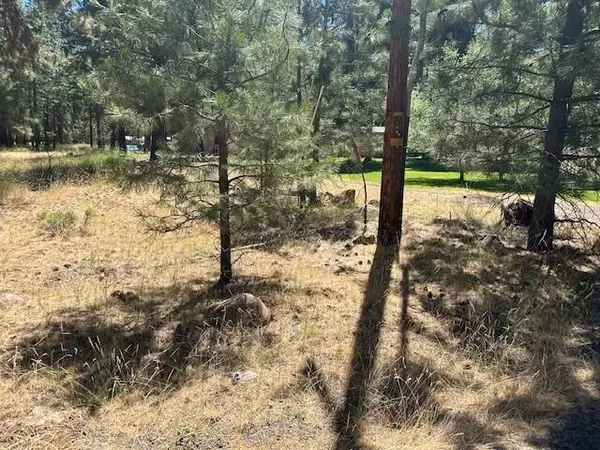 Klamath Falls, OR 97601,Lot 34 Big Pine WAY