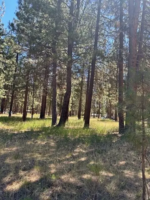 Klamath Falls, OR 97601,Lot 34 Big Pine WAY