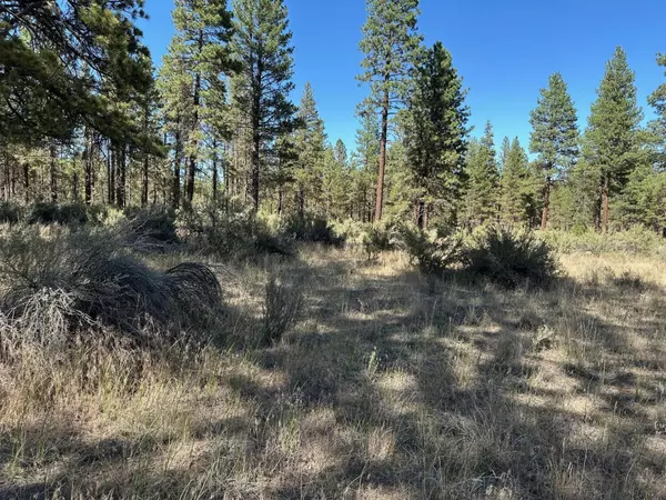 Bonanza, OR 97623,Lot 2900 Teal DR