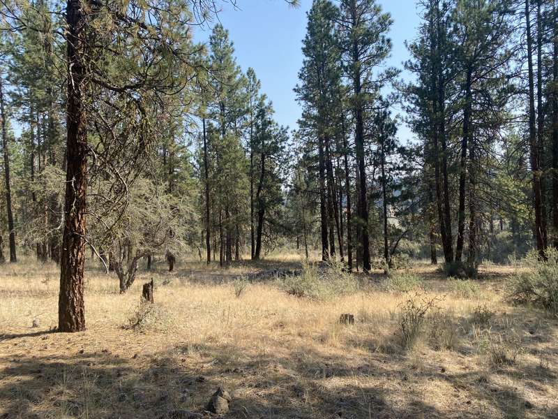 Klamath Falls Forest Estates #Lots 21 & 28, Bonanza, OR 97623