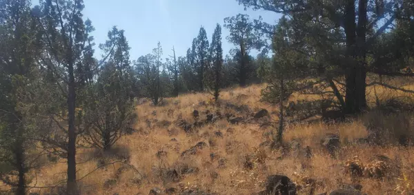 Prineville, OR 97754,TL1000 Pinecrest DR