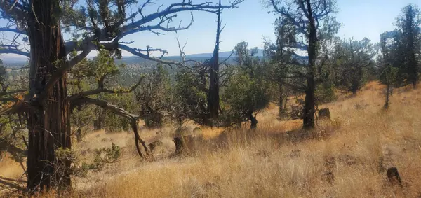 Prineville, OR 97754,TL1000 Pinecrest DR