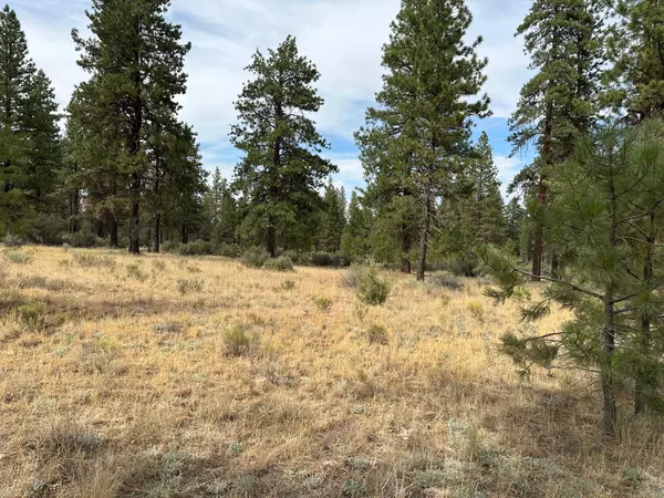 Bonanza, OR 97623,Lot3400 Teal DR #3400