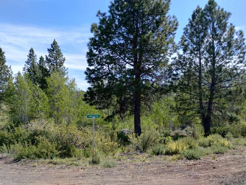 Lot 9 Canadian Honker LN, Sprague River, OR 97639