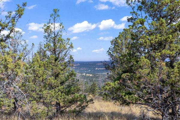 15875 Winchester LOOP, Prineville, OR 97754