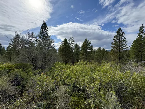 Bonanza, OR 97623,Lot 10 Tanager DR