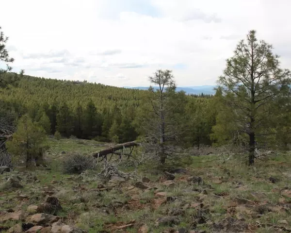 Lakeview, OR 97630,0 Quartz Mountain Pass - 157.86