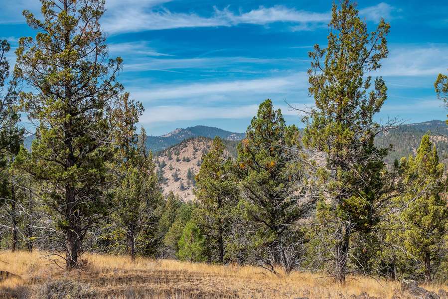 15315 Schnieder WAY, Prineville, OR 97754