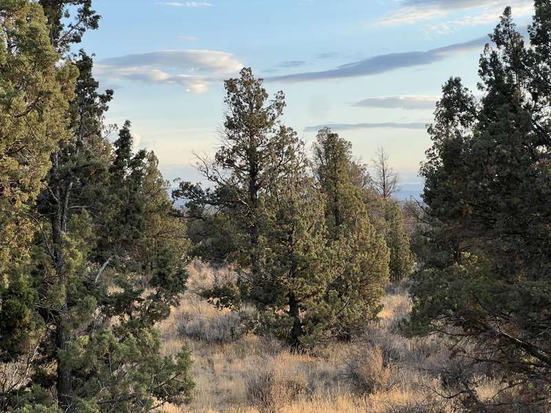 0 indian LN #161609D0-00100, Prineville, OR 97754