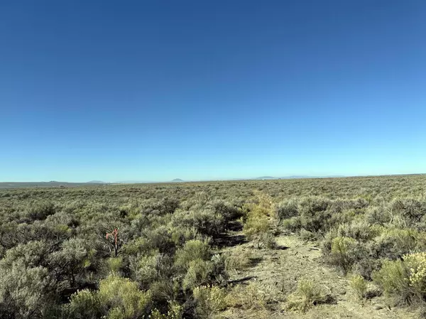 Christmas Valley, OR 97641,Christmas Valley HWY #TL-200