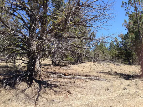 Prineville, OR 97754,Riverside Ranch Lot #69