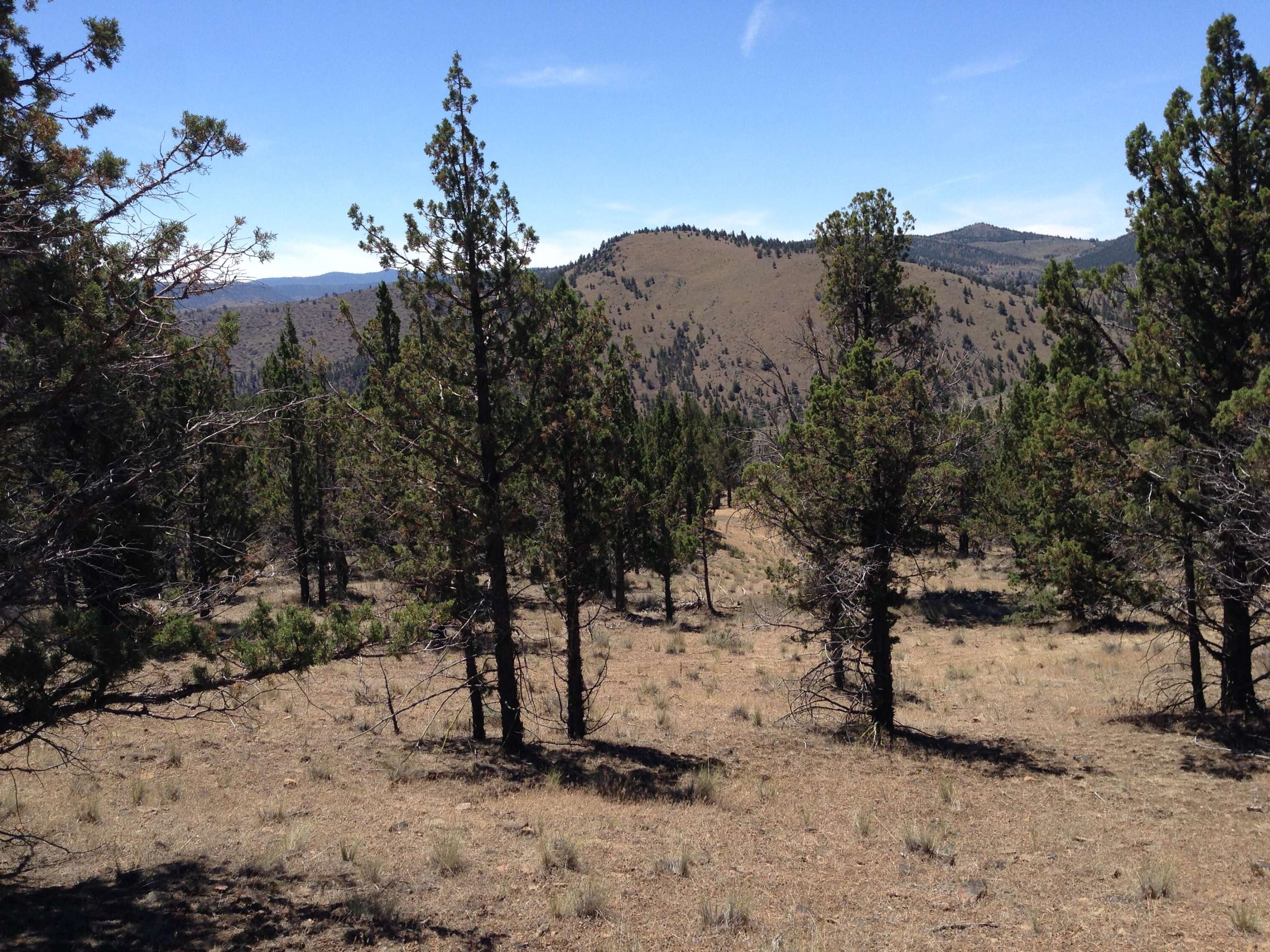 Riverside Ranch Lot #69, Prineville, OR 97754