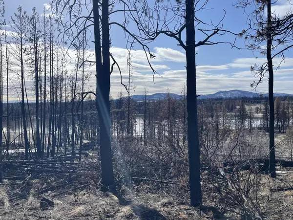 Bly, OR 97622,Loyd Low TRL #5