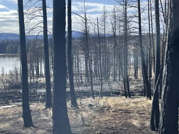 Bly, OR 97622,Loyd Low TRL #5