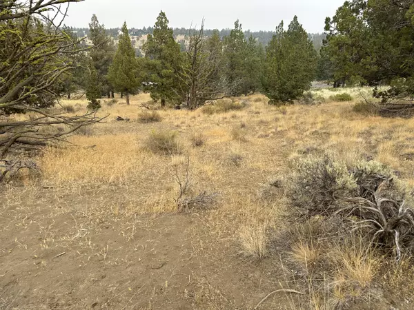 Terrebonne, OR 97760,Lot 24 - Cascade View PL