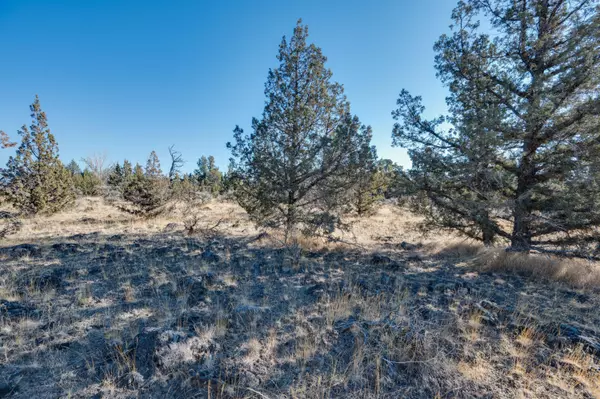 Terrebonne, OR 97760,12600 Chinook DR