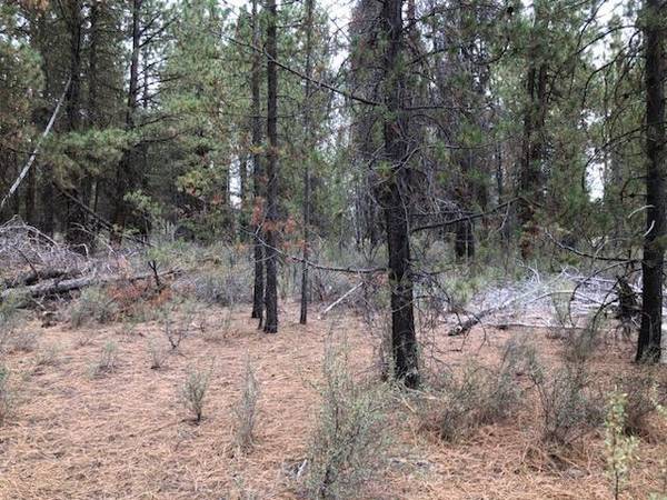 Whitehorse WAY #209152, Chiloquin, OR 97624