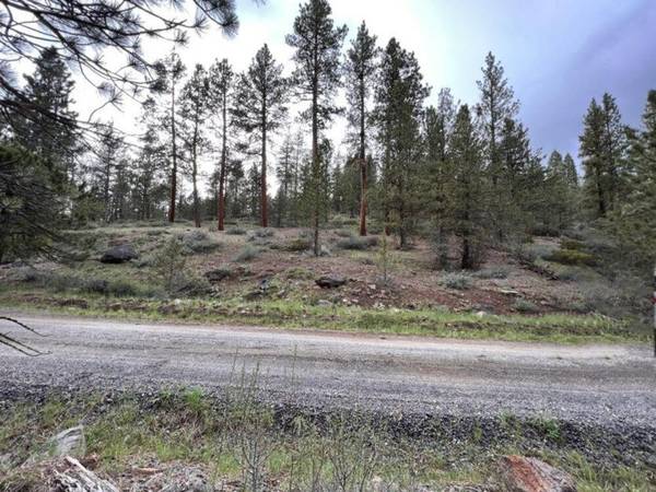 Whitetail LN #Lot 22, Bonanza, OR 97623