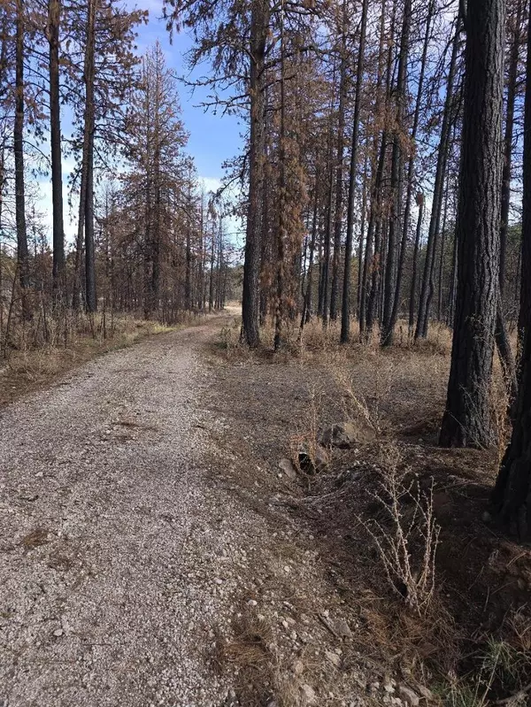 Bonanza, OR 97623,4 Zebra LN #4