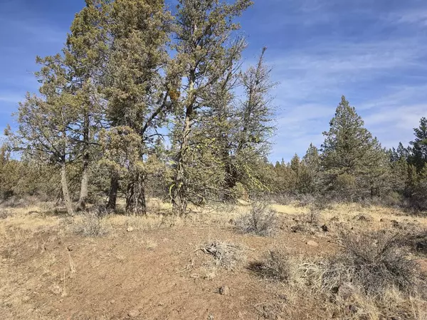 Bonanza, OR 97623,6 Thrasher DR #6