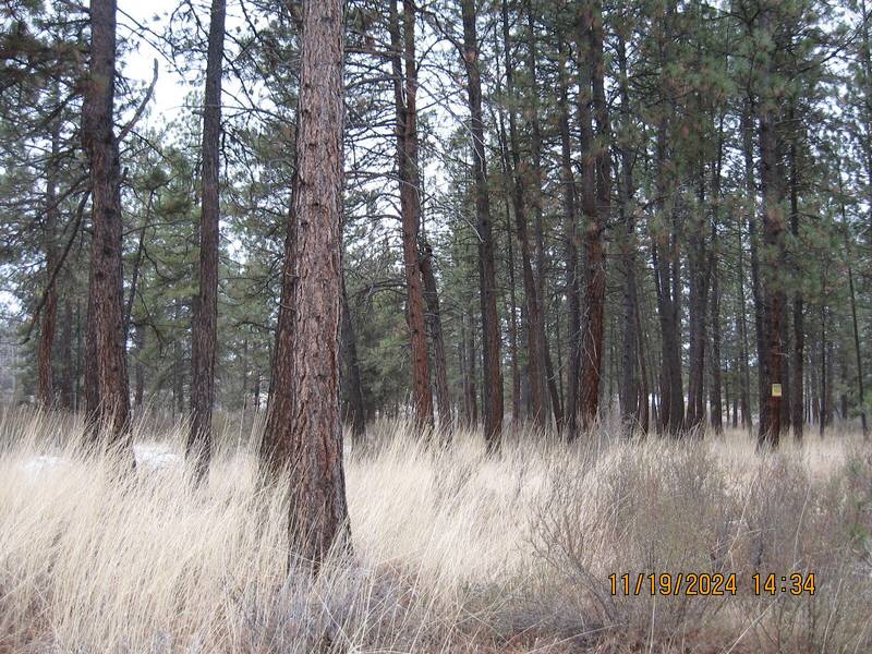 Lot 22 Brittany WAY, Chiloquin, OR 97624