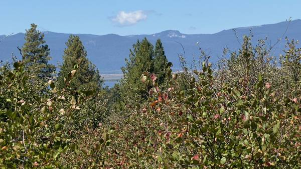 David ST #3, Chiloquin, OR 97624