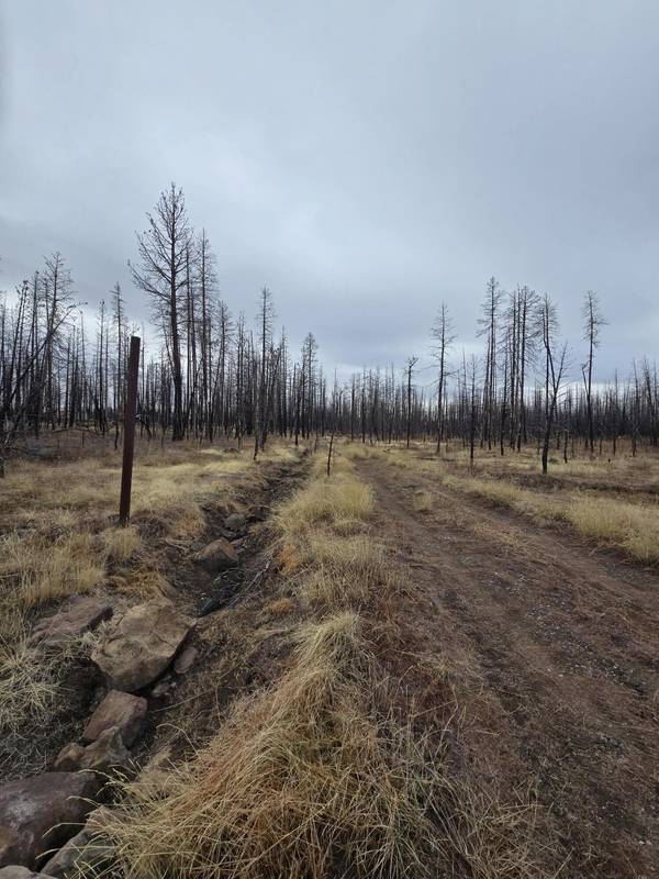 Bull Pine RD #173 Acres, Bly, OR 97622