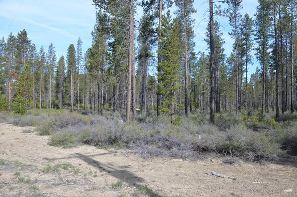 Bitterbrush LN, Crescent, OR 97733