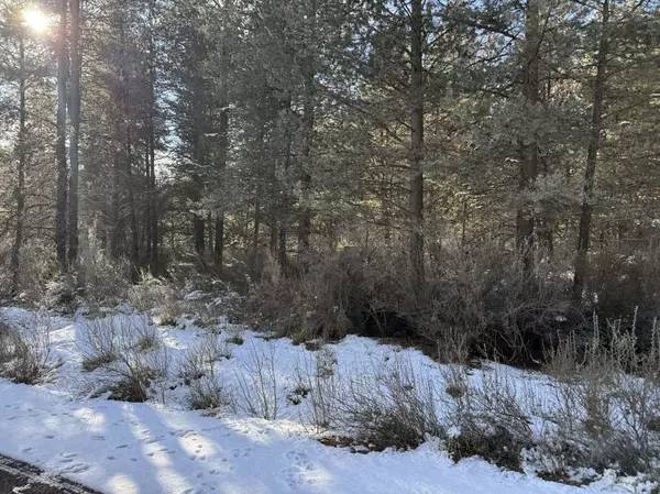 Chiloquin, OR 97624,Brook Trout LN #Lot 3