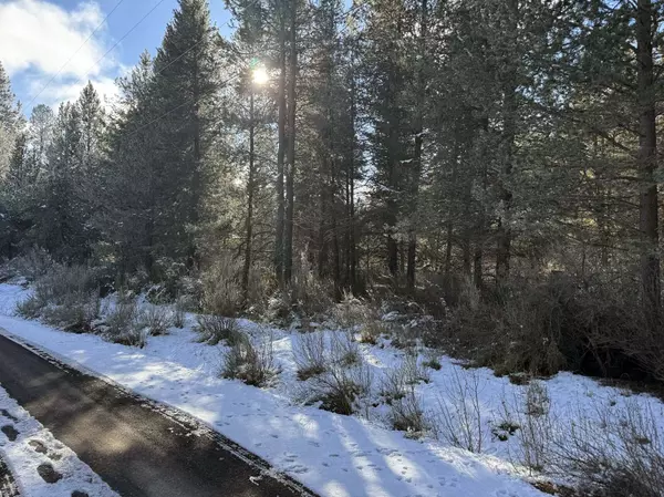 Chiloquin, OR 97624,Brook Trout LN #Lot 3