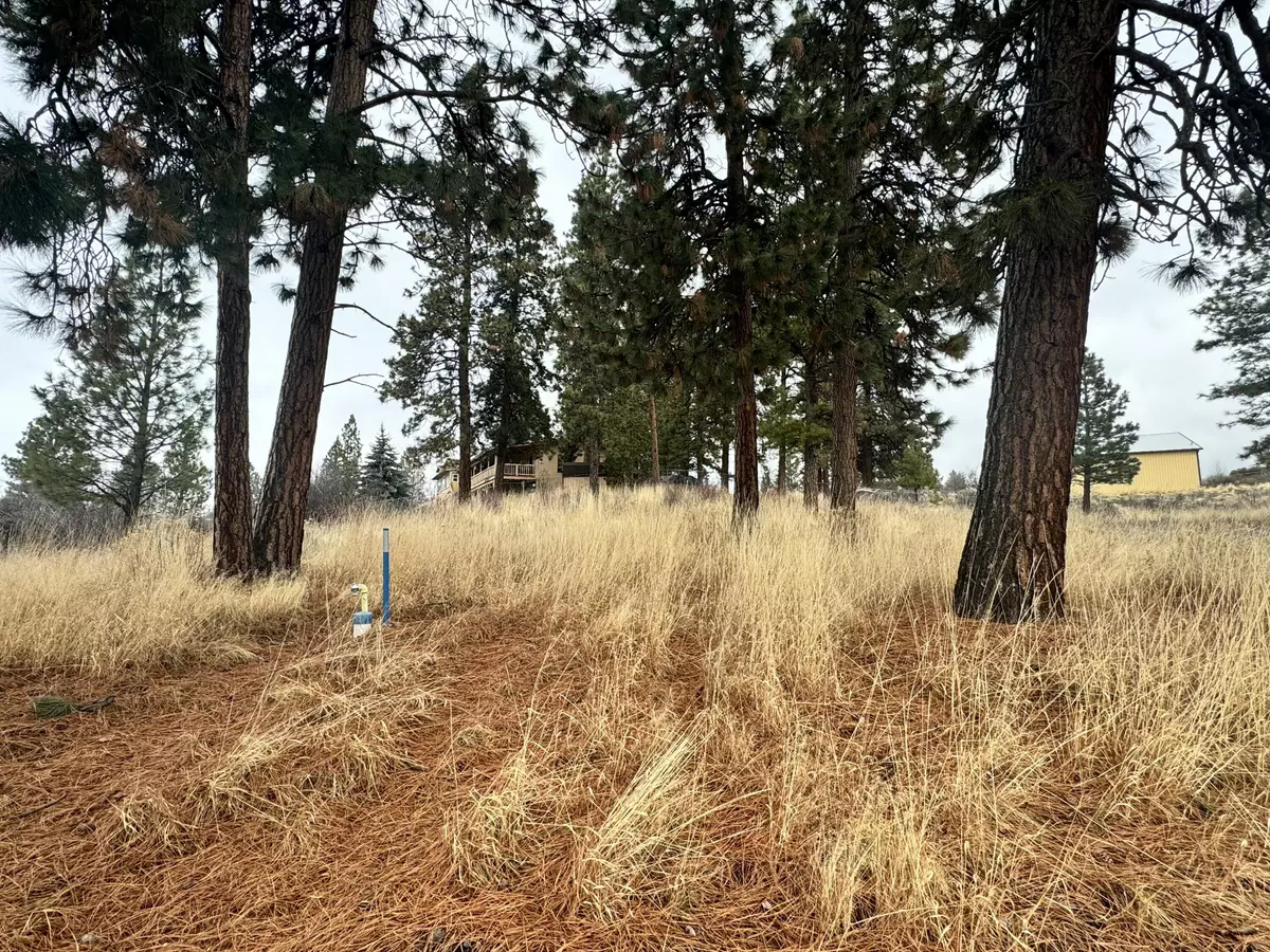 Chiloquin, OR 97624,Margi CT #Lot 12